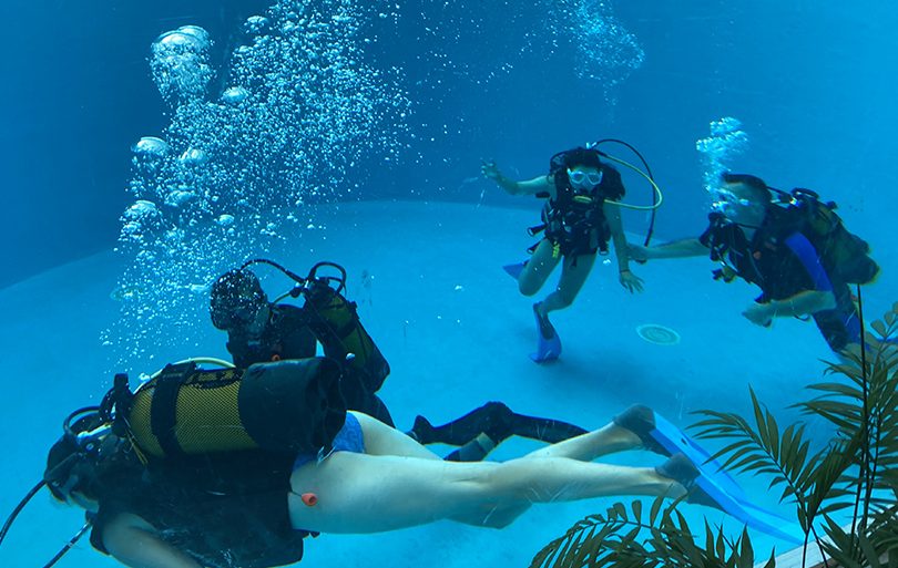 Plongée dans le Centre Aquatique Arsenal : Notre Avis Complet après Test !