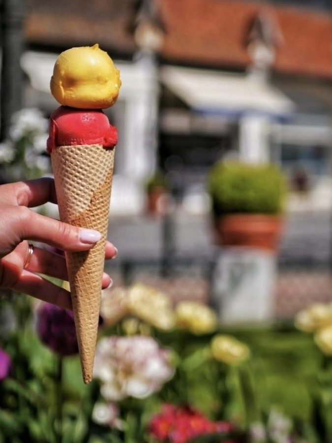 Berthillon: La Référence Ultime de la Glace Artisanale à Paris