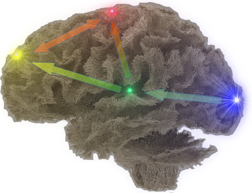 découvrez l'authentification par activité cérébrale, une technologie innovante qui utilise les signaux neuronaux pour sécuriser l'accès aux dispositifs et données.